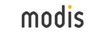 Modis: Driving Project Management Efficiency